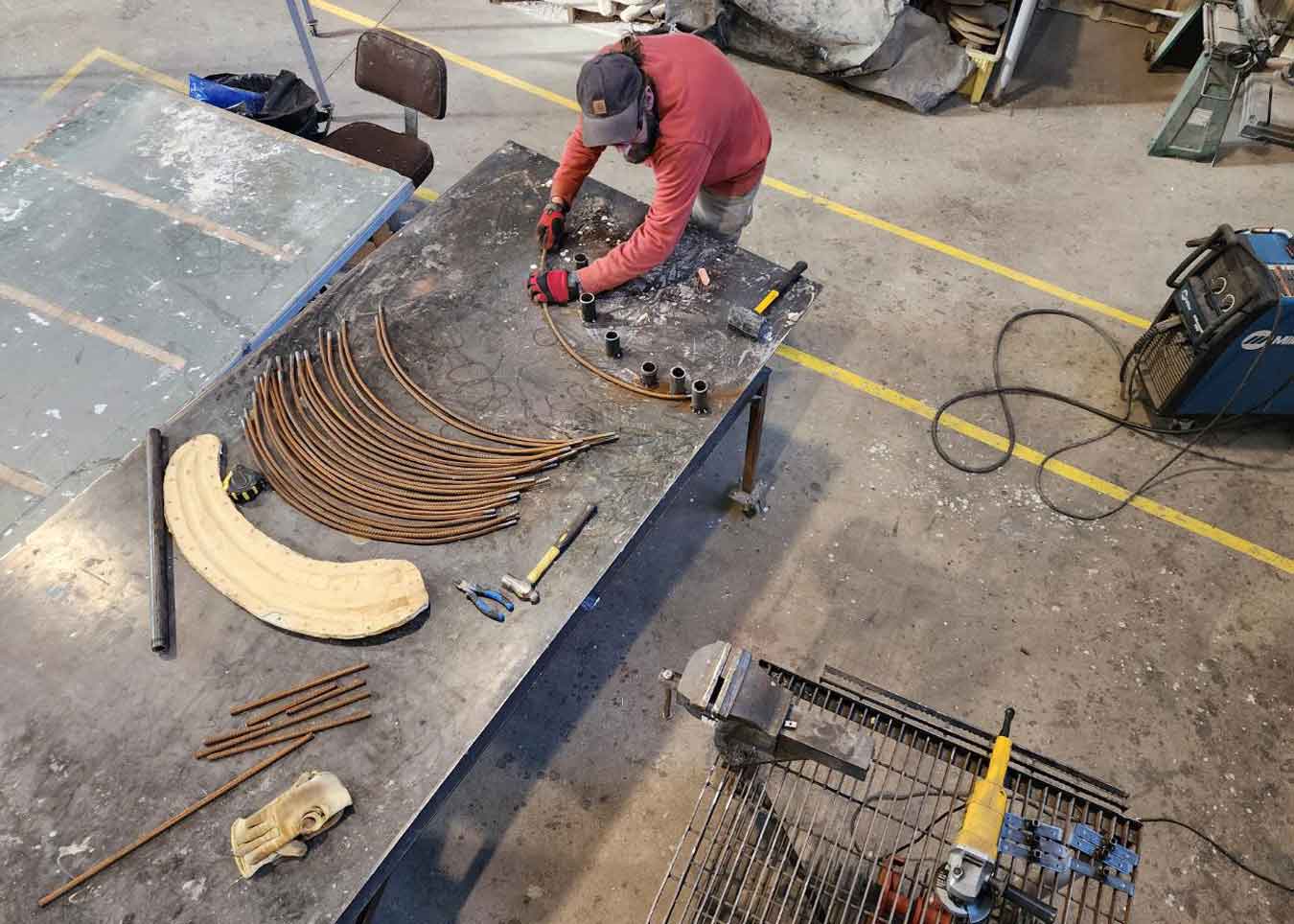 Carolside Mosasaur Project – Travel Special Areas Alberta